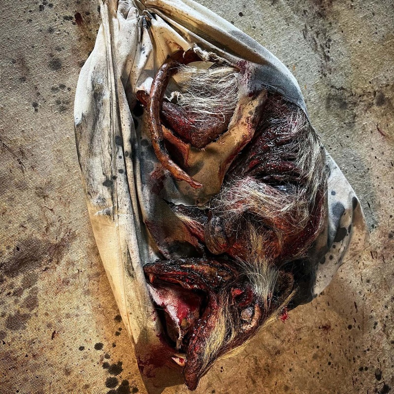 Roadkill Opossum in a Bag Prop