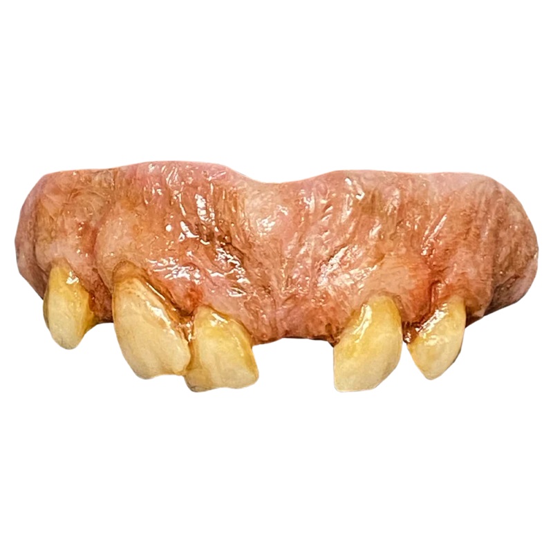 Texas Chainsaw Massacre 2 - Leatherface Teeth