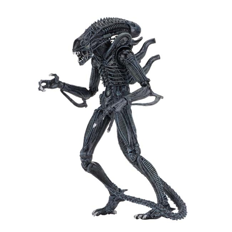 NECA Aliens (1986) Alien Warrior Ultimate 7 Inch Scale Action Figure (Blue)