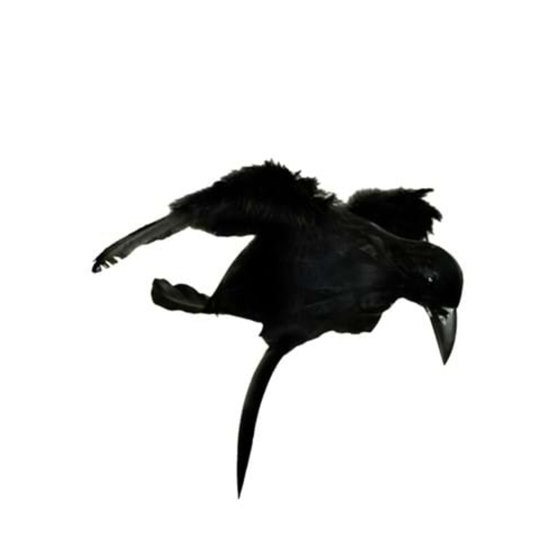 Halloween Crow Headband
