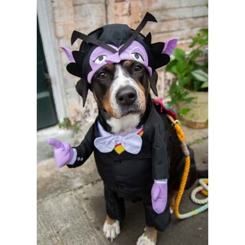 Pet's Sesame Street The Count Costume