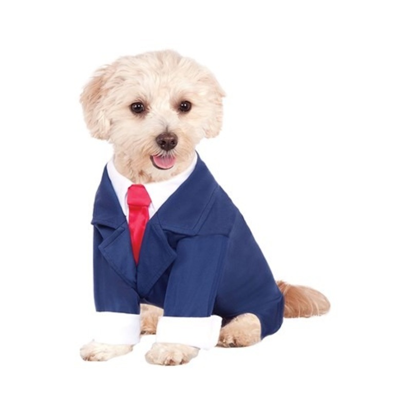 Business Suit Costume for Dogs