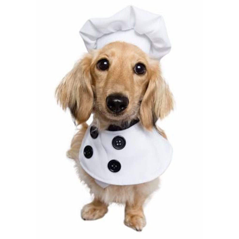 Chef Dog Costume
