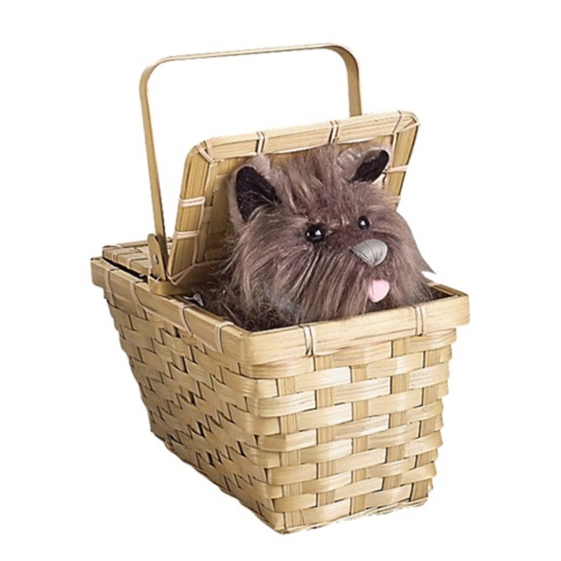 Deluxe Toto with Basket