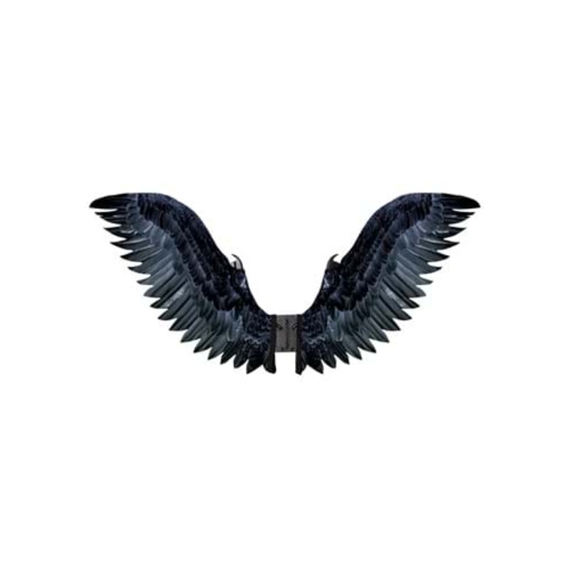Adult Black Raven Cosplay Costume Wings Standard