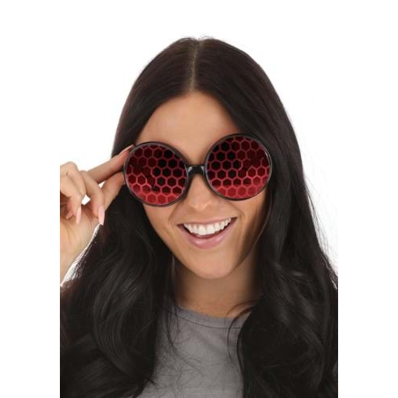 Fly Costume Sunglasses for Adults Standard