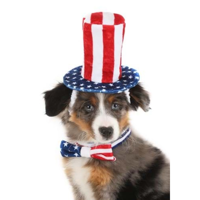 4th of July Pet Costume Accessory Kit ST
