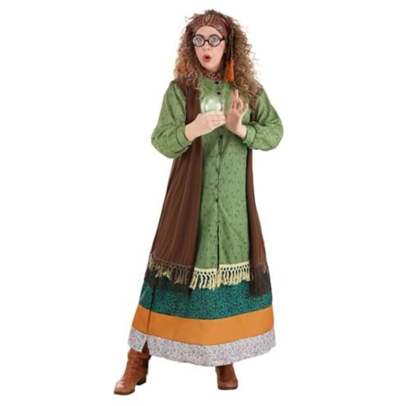 Harry Potter Deluxe Professor Trelawney Costume for Women Small