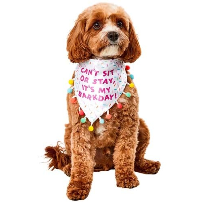 Sprinkle Birthday Bandana Costume for Pets S/M