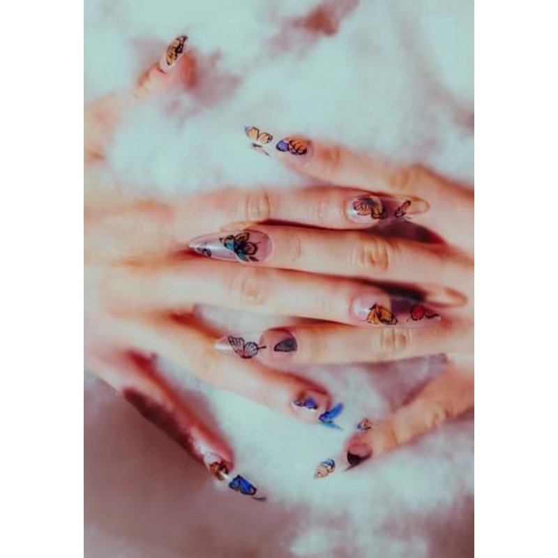 Butterfly Press-On Nails Kit Standard