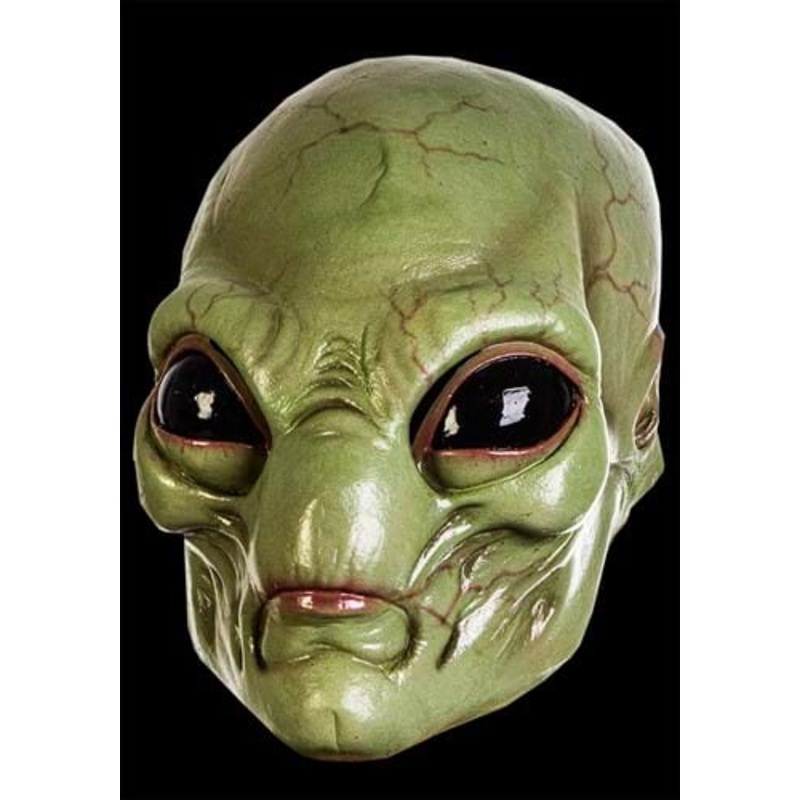 Green Visitor Mask for Adults Standard