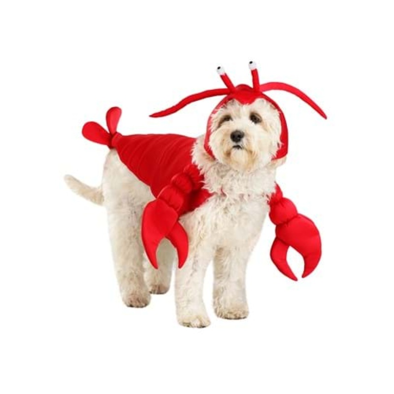 Lobster Dog Costume M