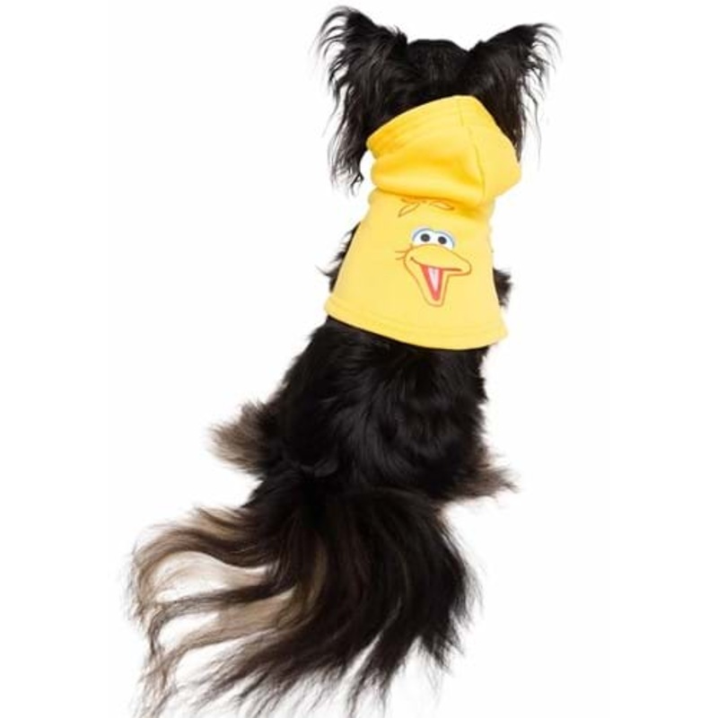 Sesame Street Big Bird Pet Hoodie S
