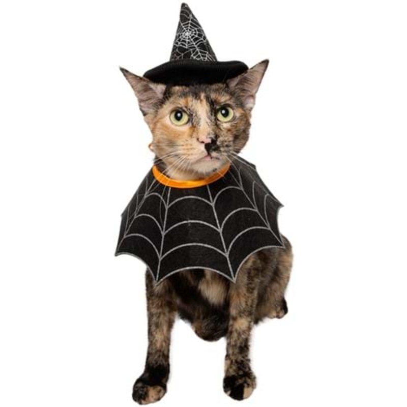Witch Hat and Collar Pet Set S/M