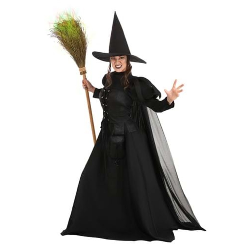 Premium Wayward Witch Adult Costume Small
