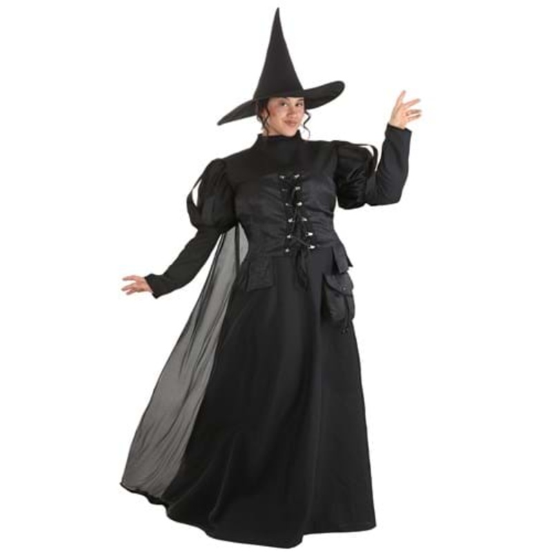 Women's Premium Wayward Witch Plus Size Costume Dress 1X