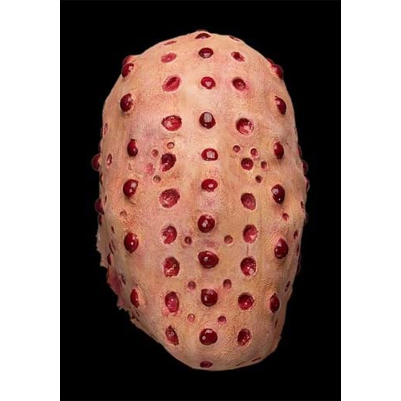 Trypo Mask for Adults Standard