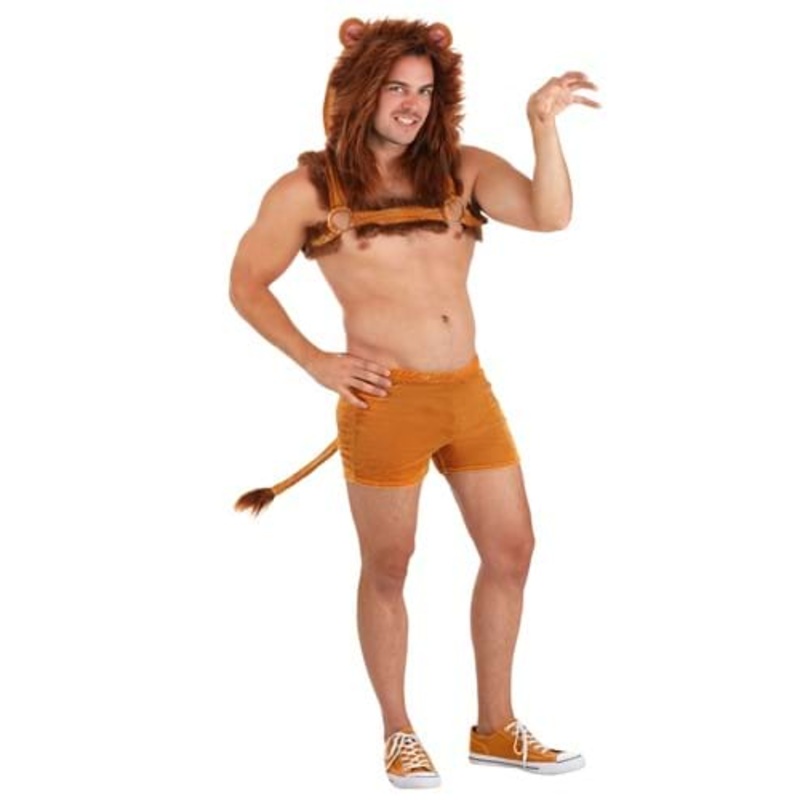 Sexy Lion Costume for Men Small