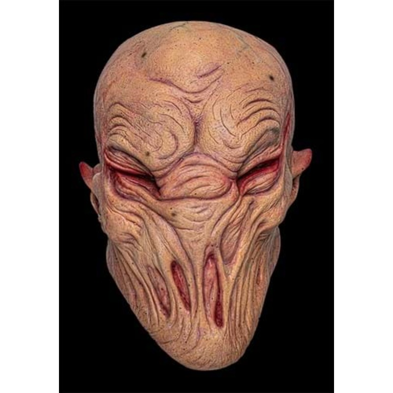 Twisted Full Face Mask for Adults Standard