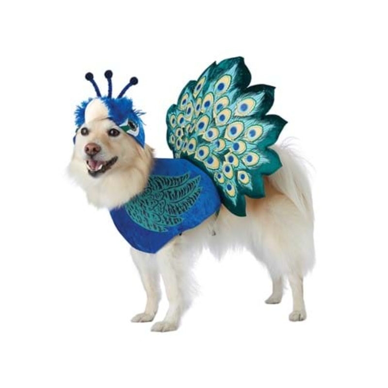 Pretty as a Peacock Costume for Pets X-Small