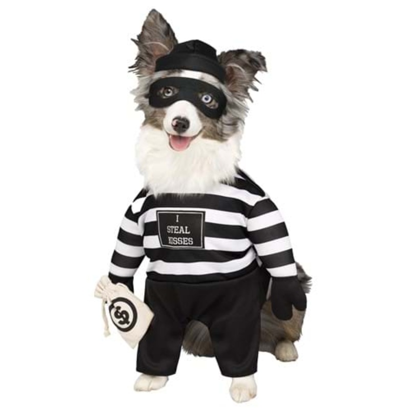 Pet Robber Pup Costume Small