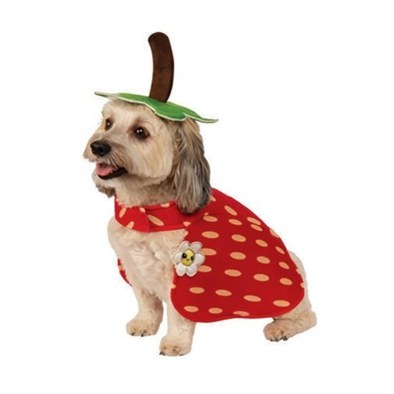 Yummy Strawberry Dog Costume Large