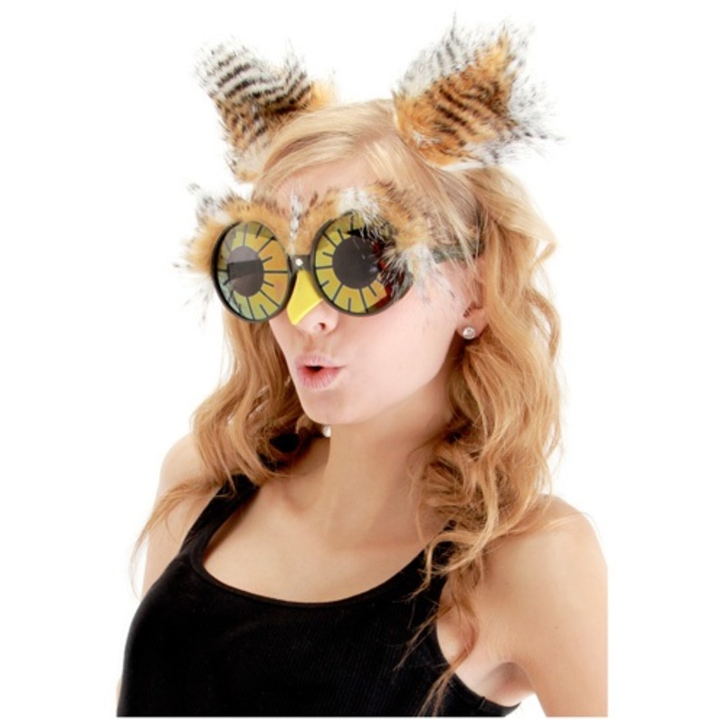 Owl Ears and Glasses Accessories Standard