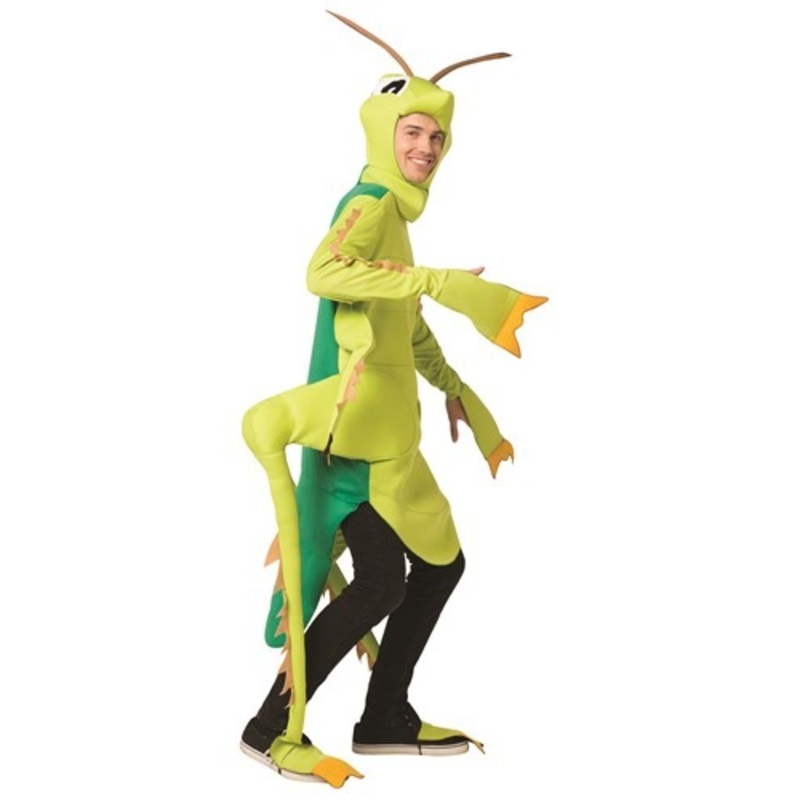 Adult Grasshopper Costume Standard