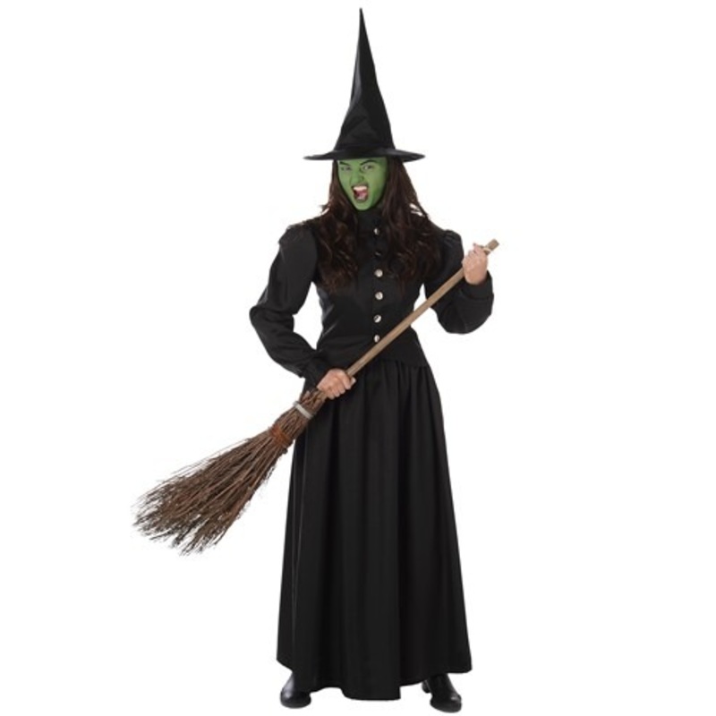 Wicked Witch Women's Costume Medium