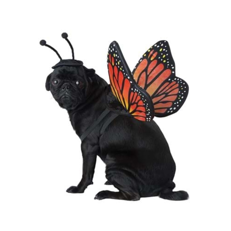 Monarch Butterfly Costume for Pets X-Small