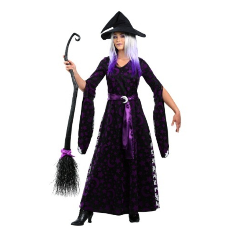 Plus Size Purple Moon Witch Women's Costume 1X