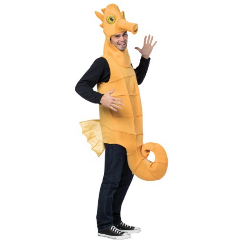 Adult Seahorse Costume Standard