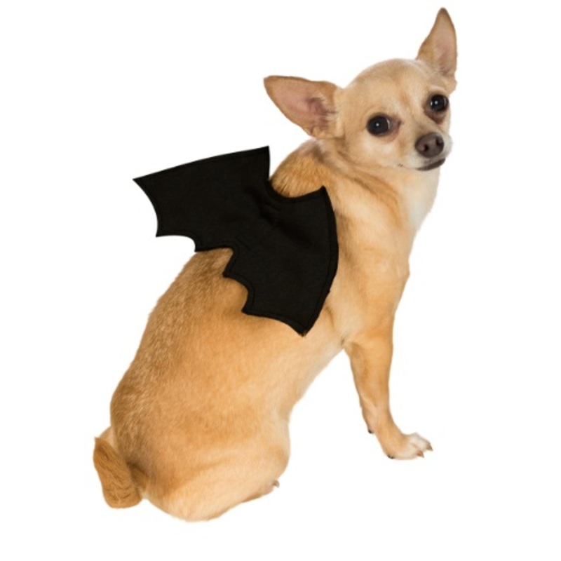 Bat Wings Pet Costume Small/Medium