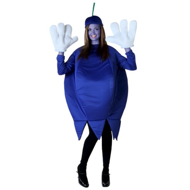 Adult Blueberry Costume Standard