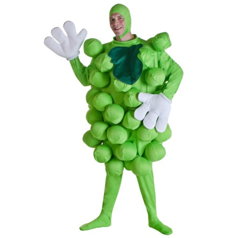 Green Grapes Costume Standard