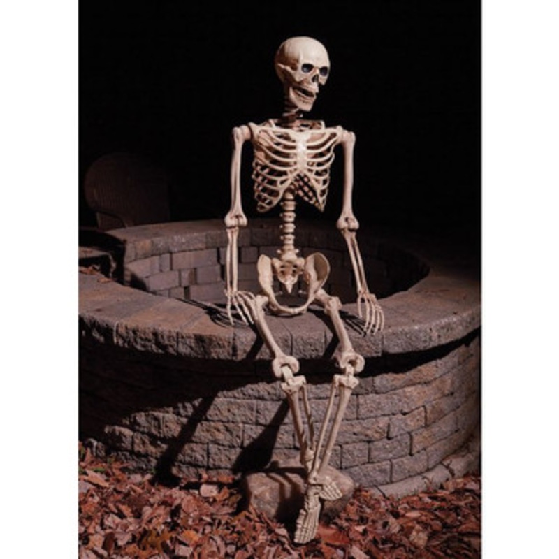 60 Articulated Natural Skeleton