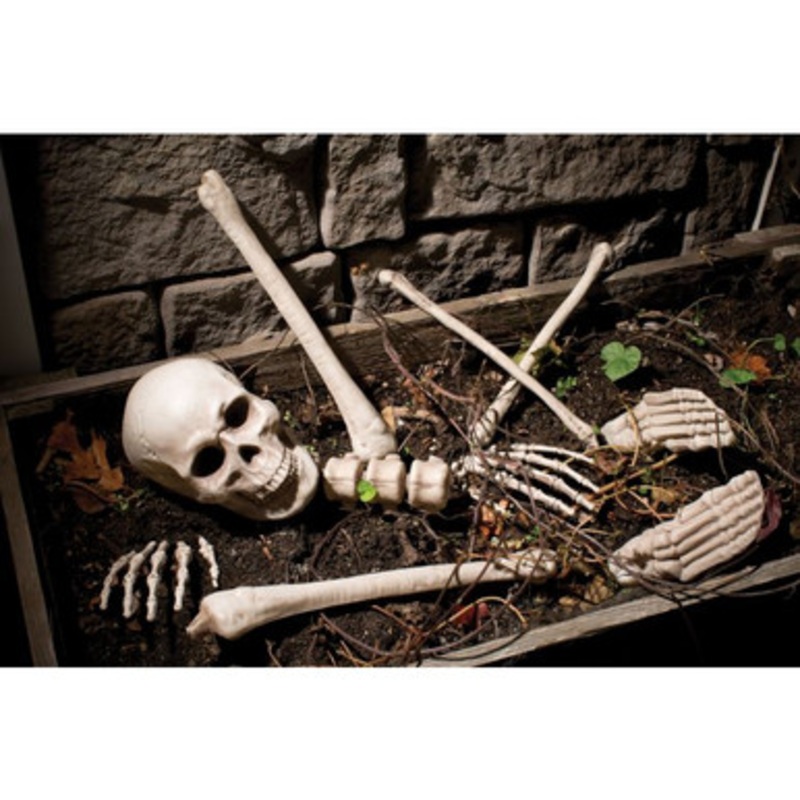 Fun World Bag O Bones