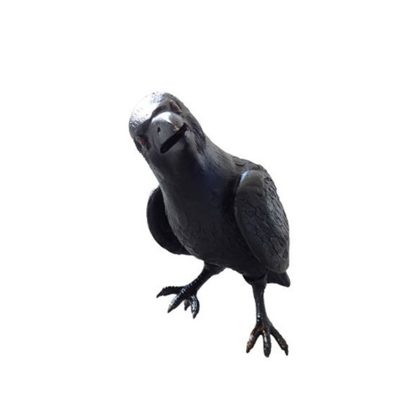 Sitting Crow Statue
