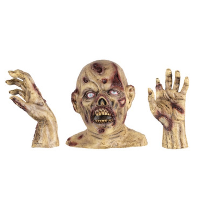 Emerging zombie
