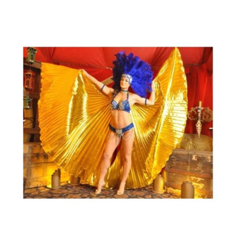 Isis Wings High Quality Pleated Fabric 57" x 93" with 2 Rods Gold