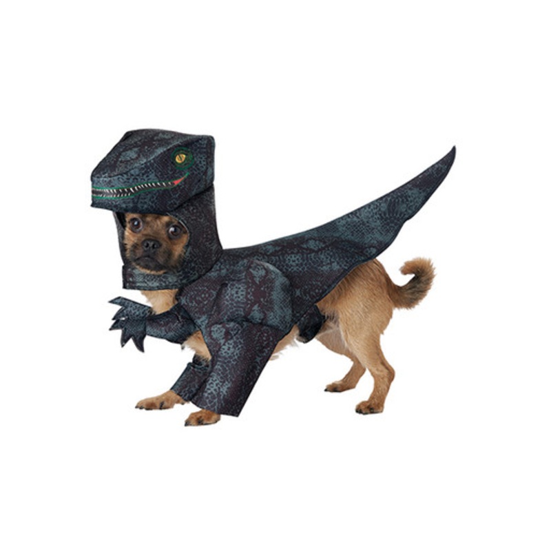 Pupasaurus Rex Dog Costume Dog 8" Length 12" Neck