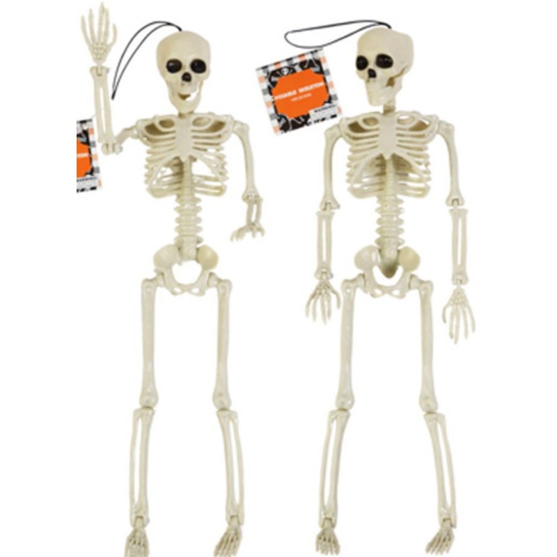 SKELETON 14IN JOINTED FULLY POSABLE PP PLASTIC