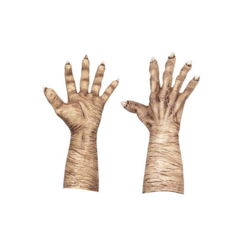 Evil Witch Hands Flesh