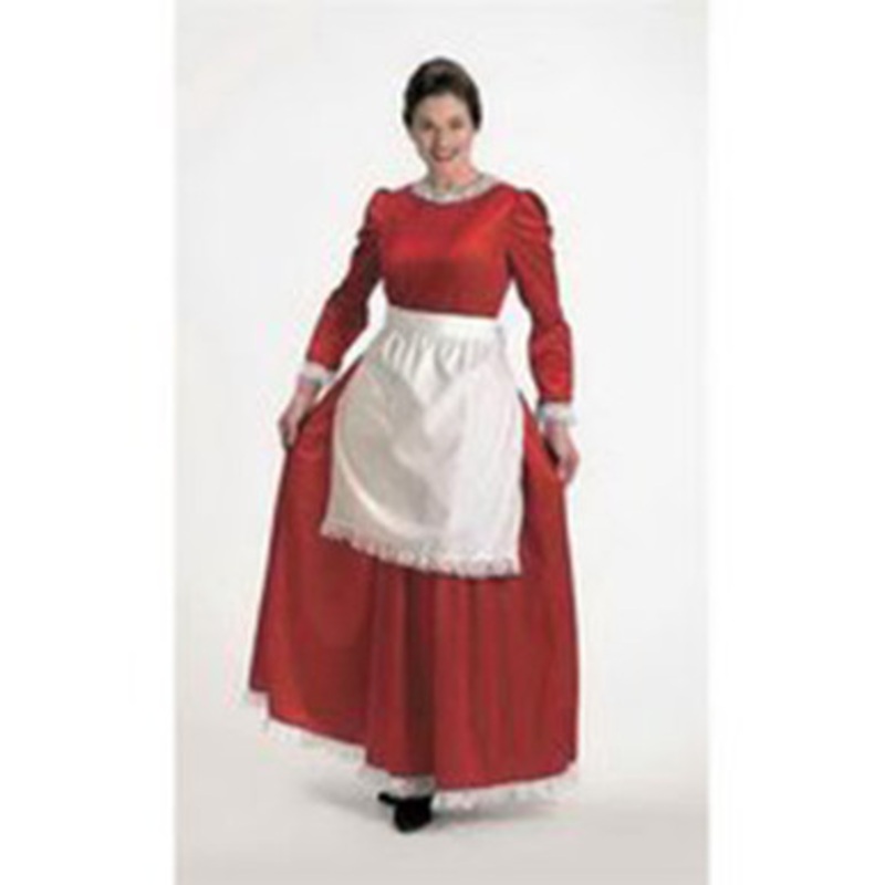 Christmas Charmer Dress Mrs Claus Costume Women's 4 - 6