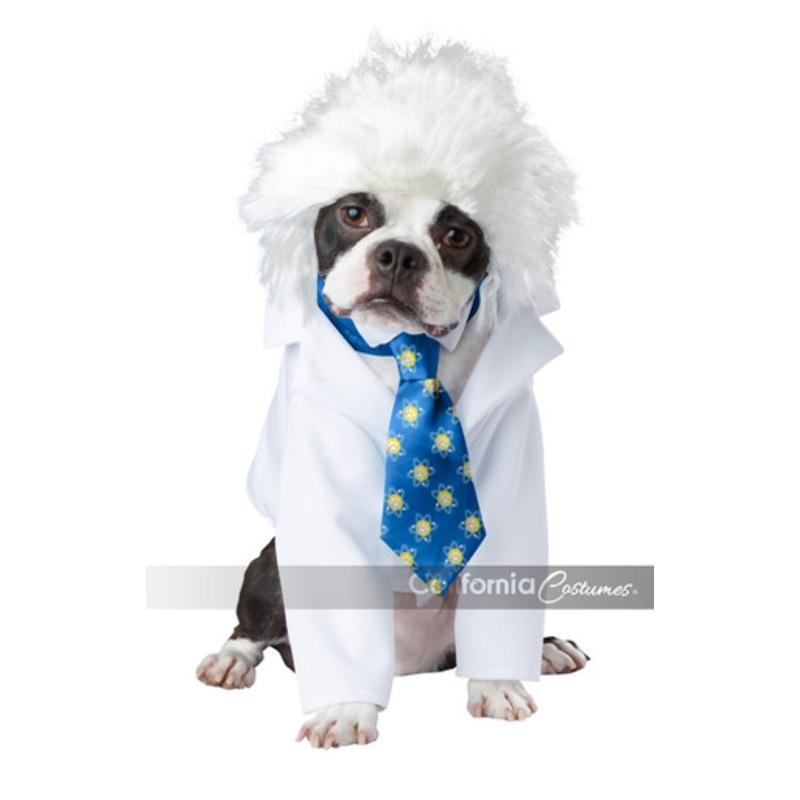 Al-Bark Einstein Dog Costume Dog 8" Length 12" Neck