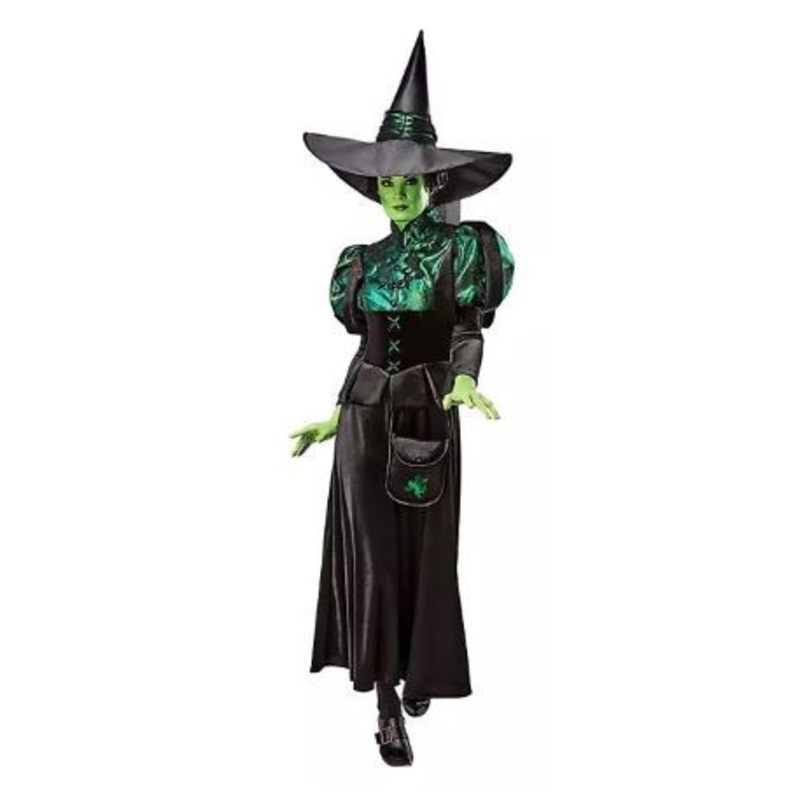 Wizard of Oz Wicked Witch Adult One size fits most