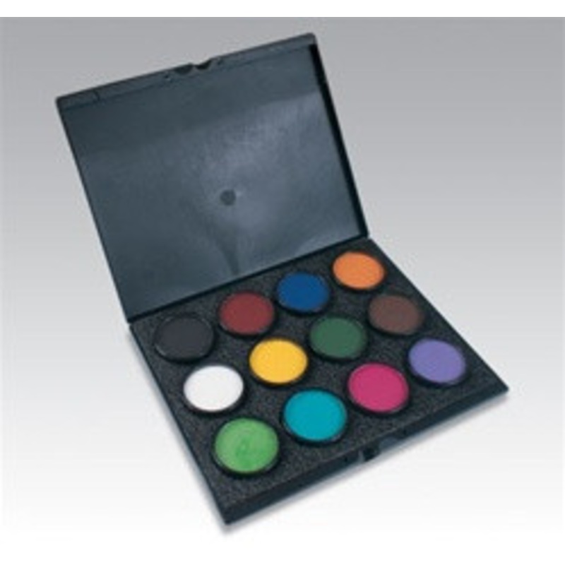 Paradise Makeup AQ Empty Palette holds 12 colors