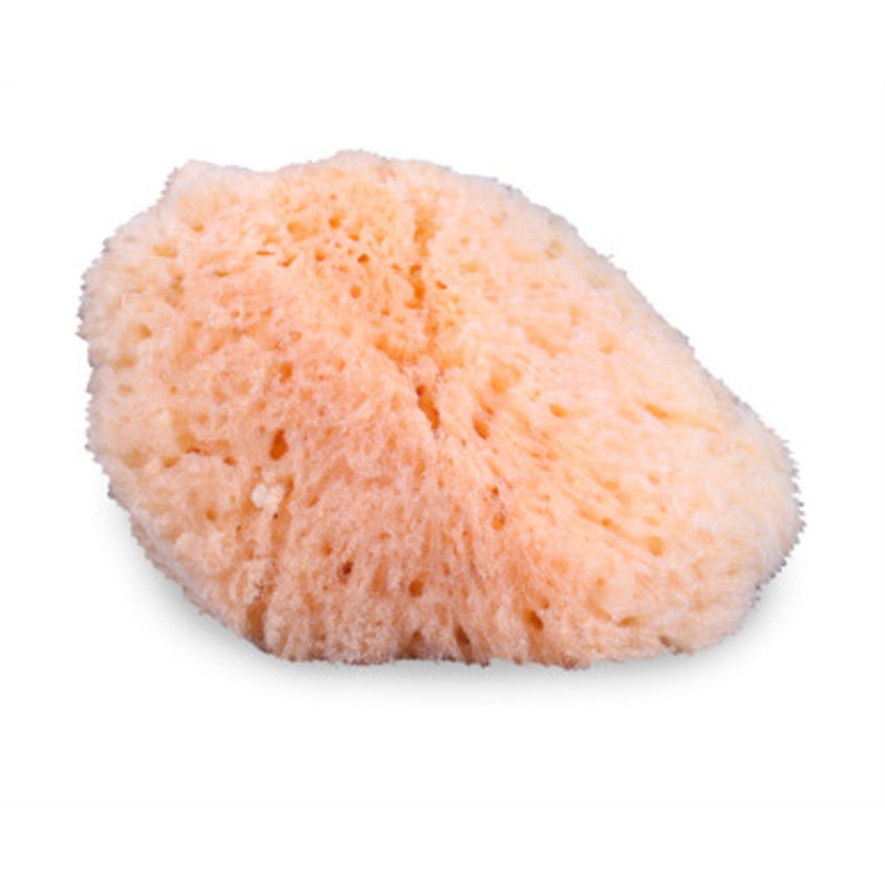 Natural Sea Sponge Applicator