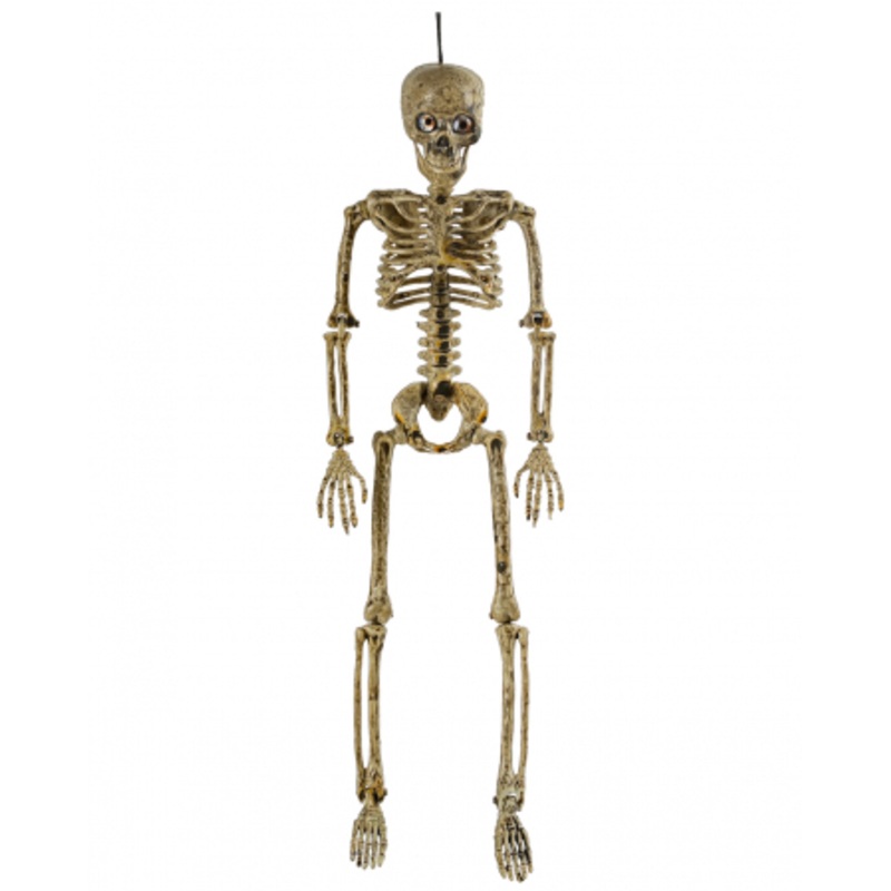 Antique Beige Positionable Skeleton With Eyes 37cm