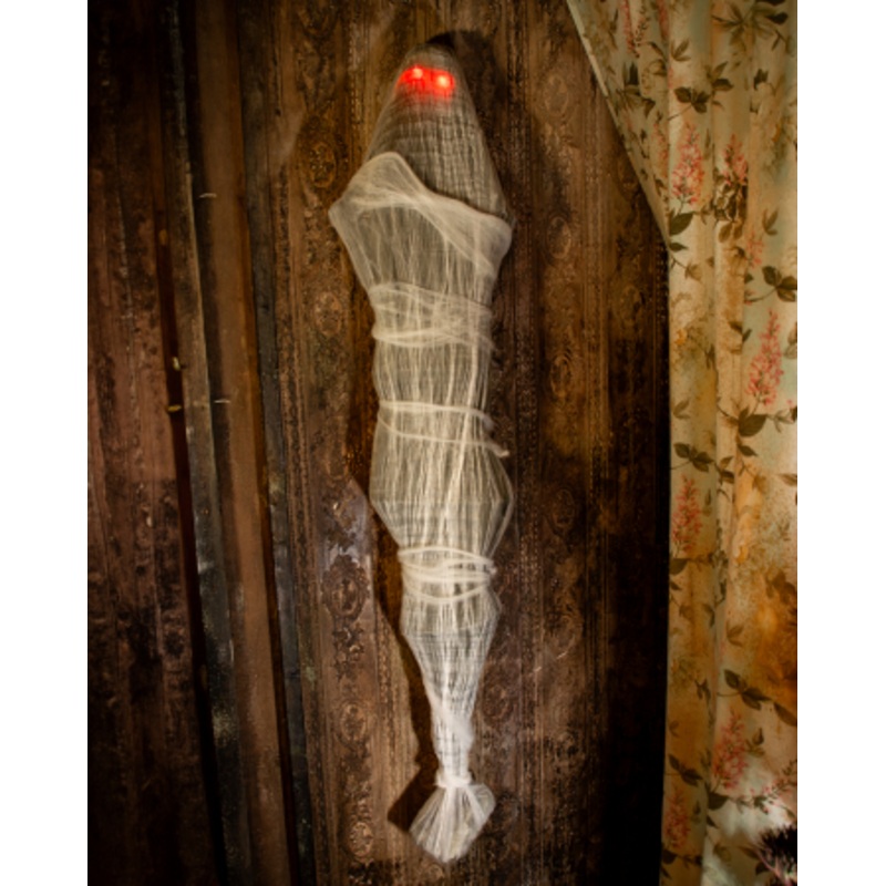 Mummy In Cocoon With LED Eyes